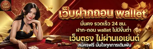 เว็บ ฝาก ถอน wallet